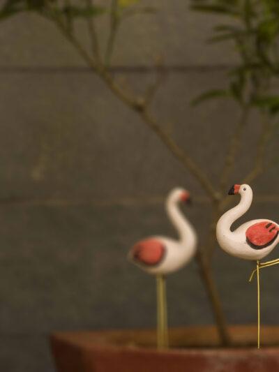 Plant Poker – Flamingo