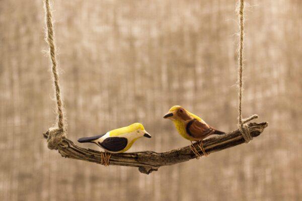 Peppy Pops-Baya Weaver