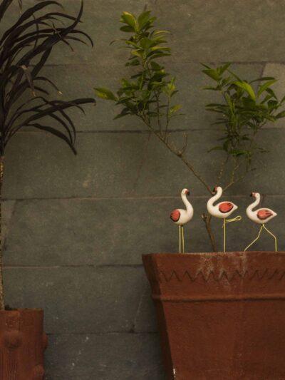 Plant Poker – Flamingo (Walking)