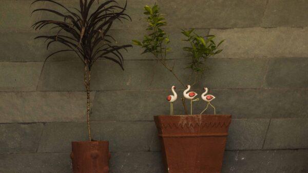 Plant Poker – Flamingo (Walking)